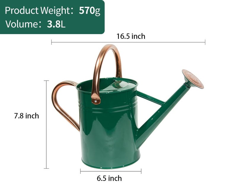 yourjoy Steel Watering Can Sliver Galvanized Steel Watering Can with Copper Accents,Removable Rosette-Diffuser,One-Gallon Green - Image 2